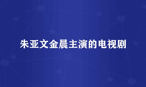 朱亚文金晨主演的电视剧