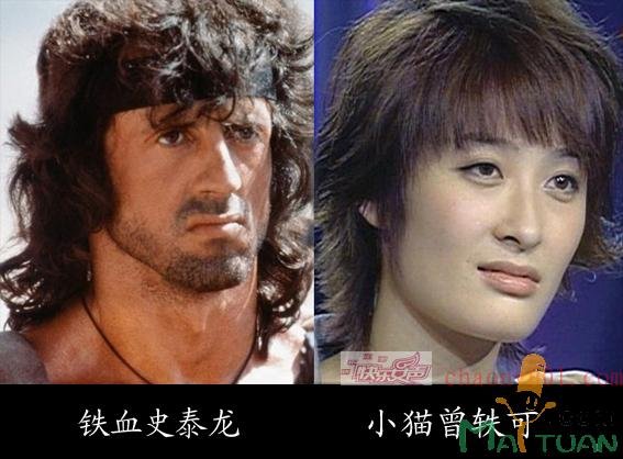 曾（古月文武）哥和史泰龙有什么联系吗？