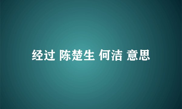 经过 陈楚生 何洁 意思