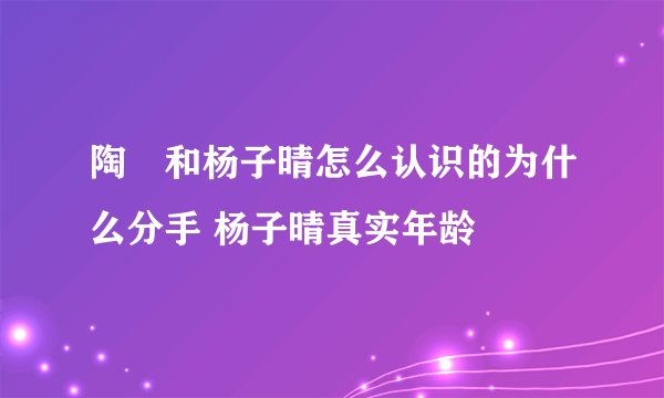 陶喆和杨子晴怎么认识的为什么分手 杨子晴真实年龄