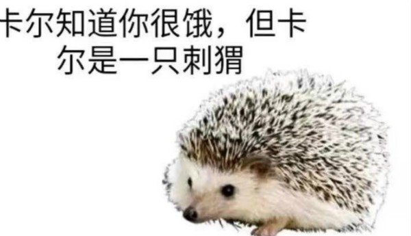 卡尔刺猬是什么梗？