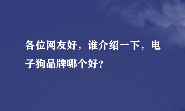 各位网友好，谁介绍一下，电子狗品牌哪个好？