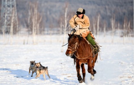 鄂伦春族的狍皮制作有什么技艺？鄂伦春族狍皮文化是什么样的？