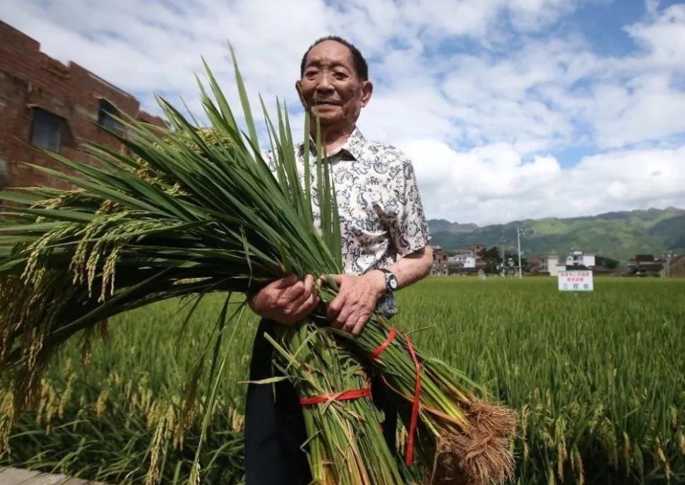 袁隆平雕像前布满花海，袁老究竟多受爱戴？