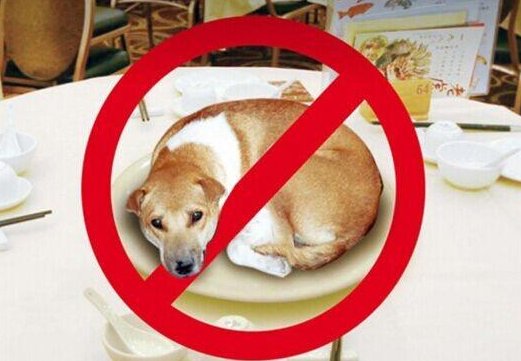 中国禁止吃狗肉的城市有哪些？