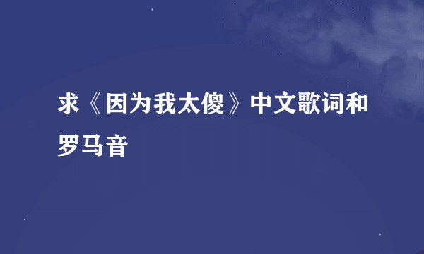 求《因为我太傻》中文歌词和罗马音