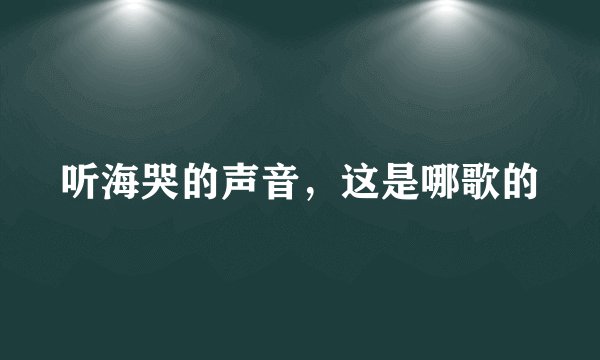 听海哭的声音，这是哪歌的