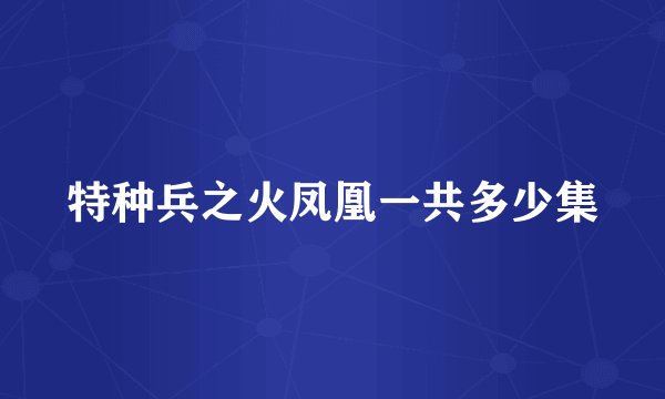 特种兵之火凤凰一共多少集