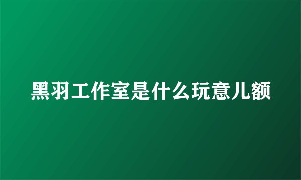 黑羽工作室是什么玩意儿额