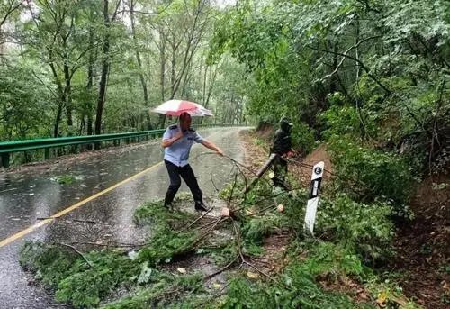 台风狮子山登陆海南，多地风雨大作，台风天气应该做好哪些防护？