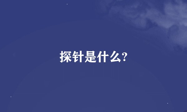 探针是什么?