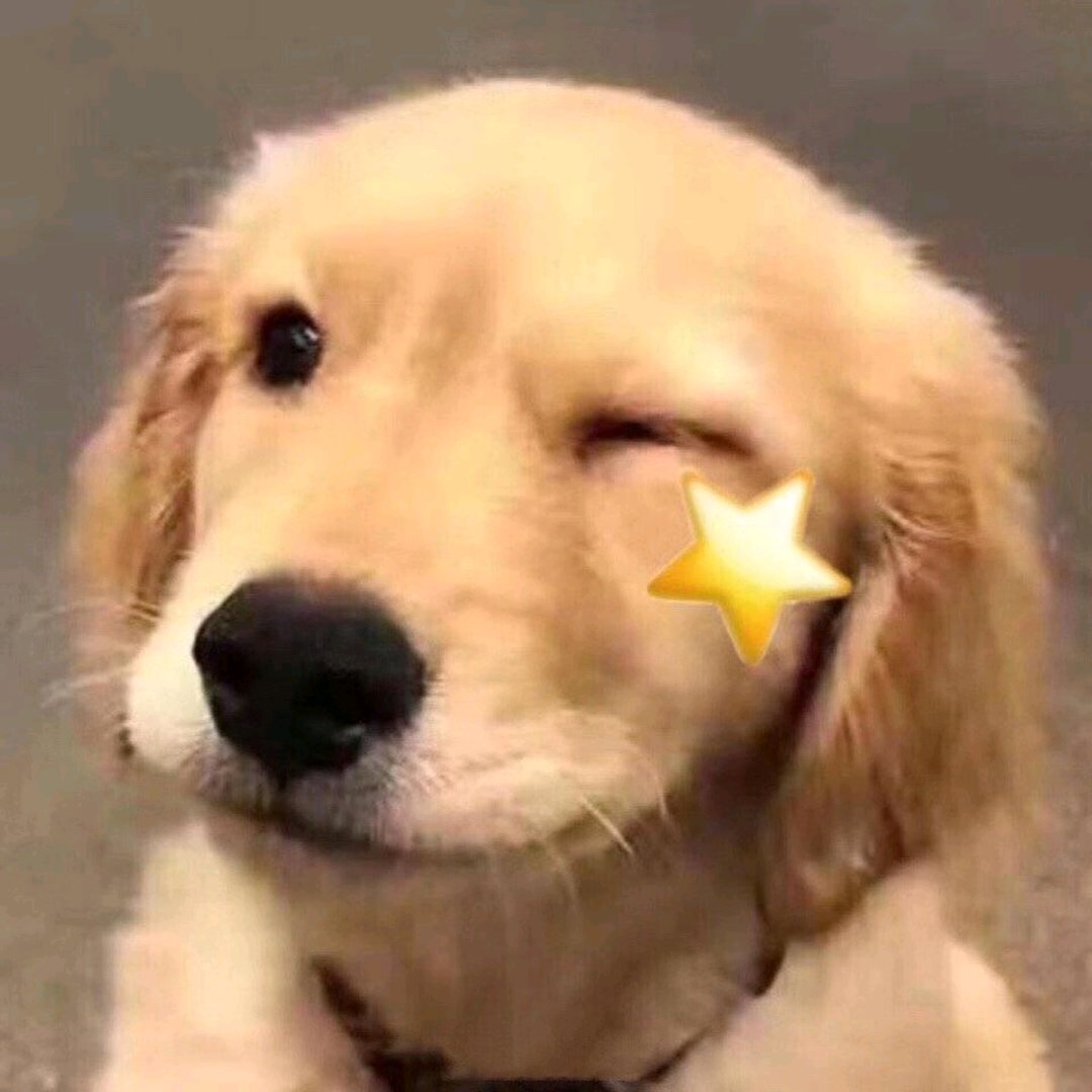 如何把光盘里的东西复制到电脑上去？？