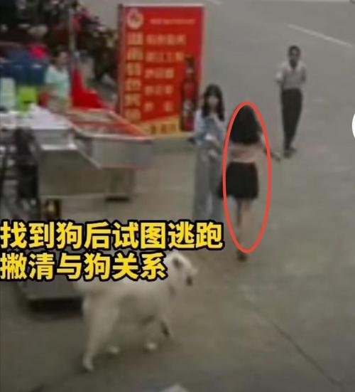 老人被绊亡不追责的消息是否属实？