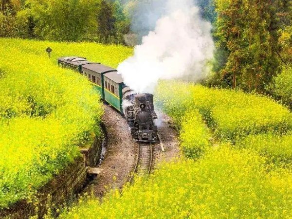 女生合唱最好听的十首歌