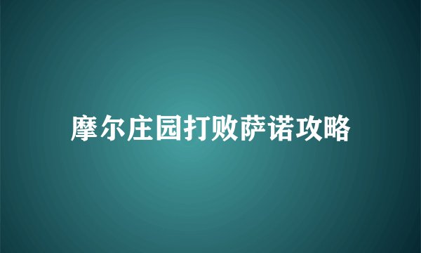 摩尔庄园打败萨诺攻略