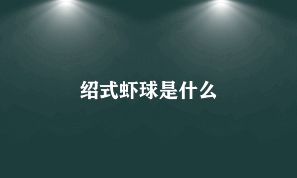 绍式虾球是什么