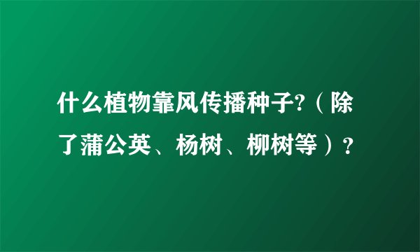 什么植物靠风传播种子?（除了蒲公英、杨树、柳树等）？