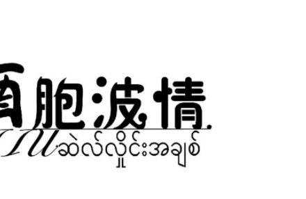 胞波之情是啥意思?