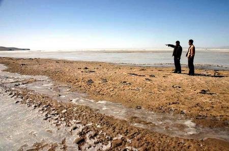 黄河鱽鱼现身黄河口，黄鱽鱼适合在什么样的环境下生存？