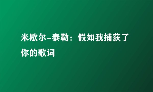米歇尔-泰勒：假如我捕获了你的歌词
