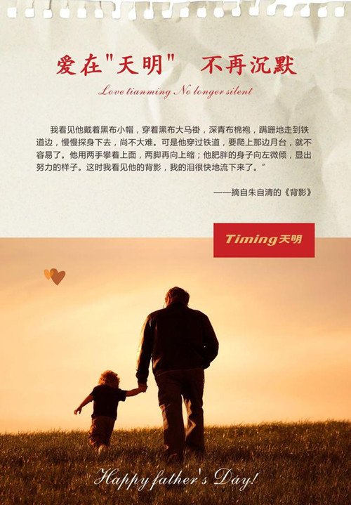 天明集团的公司简介