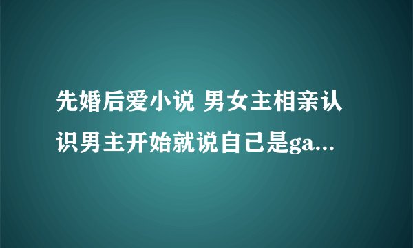 先婚后爱小说 男女主相亲认识男主开始就说自己是gay的都市言情小说是什么名字