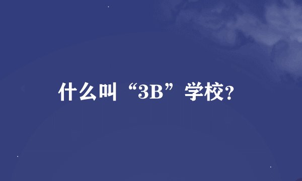 什么叫“3B”学校？
