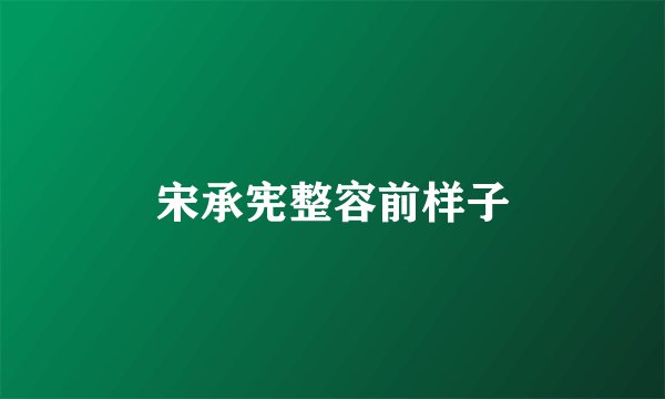 宋承宪整容前样子
