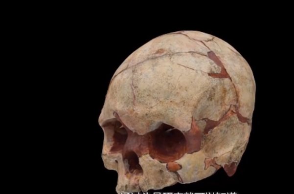 广西发现16000年前的人头骨化石,这次的发现意味着什么