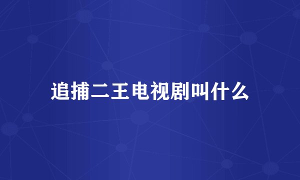 追捕二王电视剧叫什么
