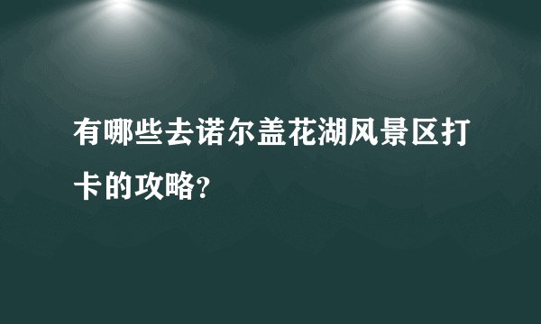 有哪些去诺尔盖花湖风景区打卡的攻略？