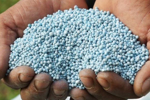 叶面肥排名榜前十名