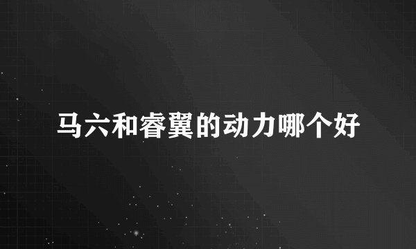 马六和睿翼的动力哪个好