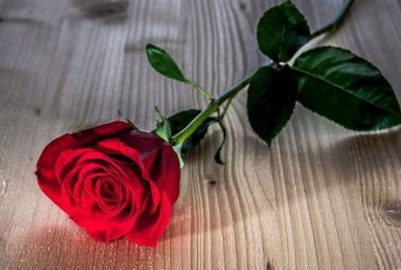 爱一个人好难的说说