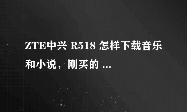ZTE中兴 R518 怎样下载音乐和小说，刚买的 不会用 。。。 仔细点