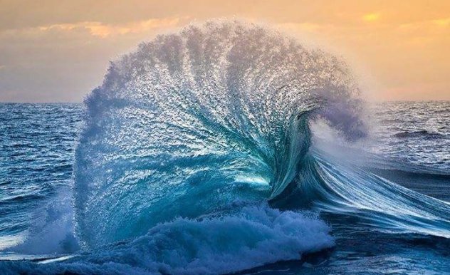 后浪推前浪,前浪死在沙滩上,下一句是什么？