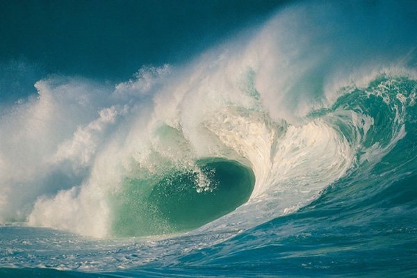 万能青年旅店的歌曲杀死那个石家庄人的歌词是什么意思?