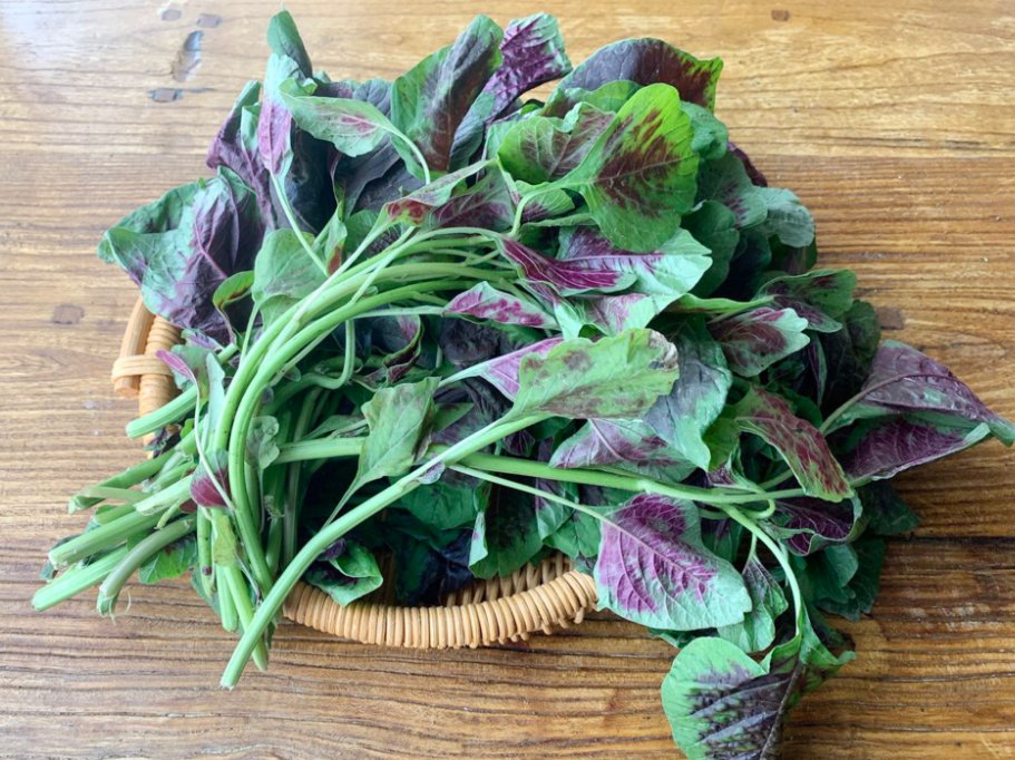 秋天吃秋菜,秋菜是什么