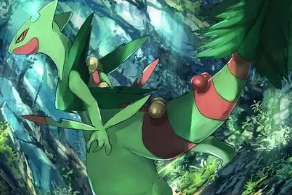 口袋妖怪黑白2 矢车森林里都有什么精灵