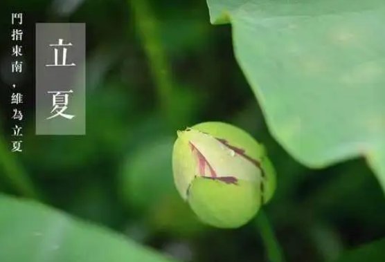 立夏看夏的说法是什么意思