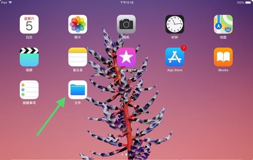 在ipad里怎样查看下载的app文件