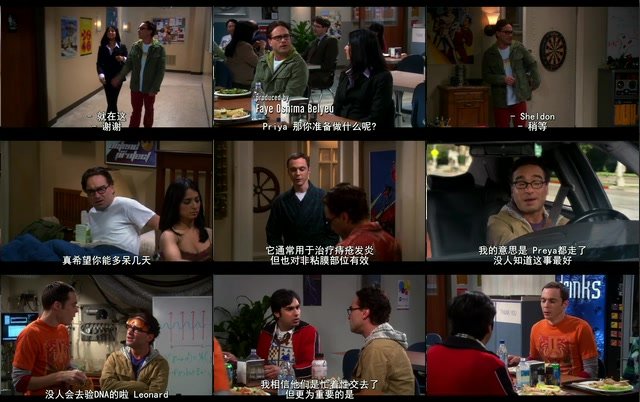 生活大爆炸第四季的剧情简介