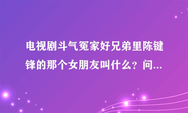 电视剧斗气冤家好兄弟里陈键锋的那个女朋友叫什么？问了几个人还有人说是赵微
