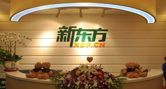 王强，俞敏洪，徐小平分别创办什么公司？