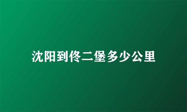 沈阳到佟二堡多少公里