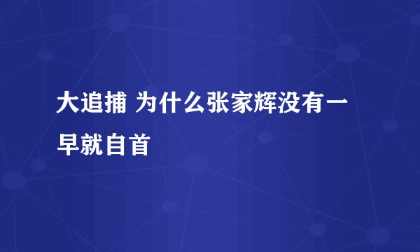 大追捕 为什么张家辉没有一早就自首