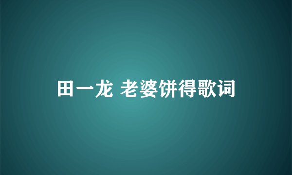田一龙 老婆饼得歌词