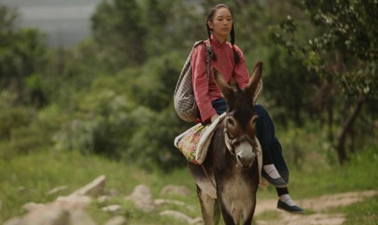 骑什么看唱本_走着瞧。