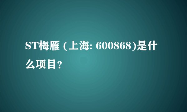 ST梅雁 (上海: 600868)是什么项目？