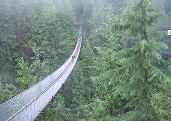 哥伦比亚吊桥垮塌怎么回事？